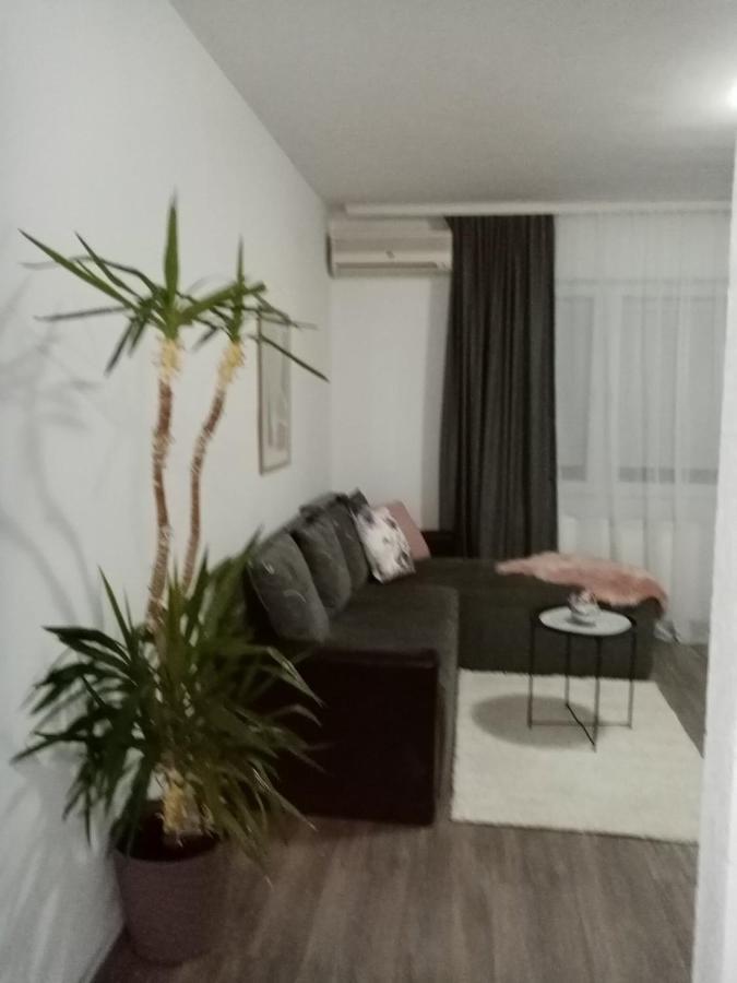 Apartman Aleksic Apartment Jagodina Exterior photo